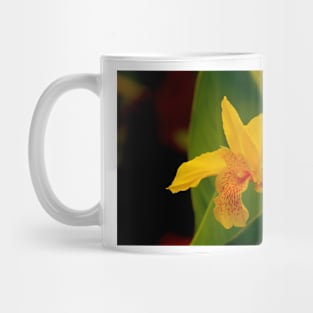 ali daffodil Mug